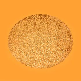 Excellent Houseware 35 cm Asorti Supla