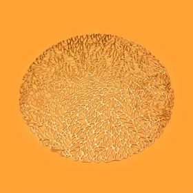 Excellent Houseware 35 cm Asorti Supla