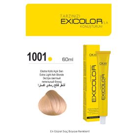 Exicolor 10.01 Ekstra Küllü Açık Sarı 60 ml Saç Boyası