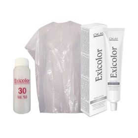 Exicolor 30 Volüm Peroksit + Boya Naylonu + Soğuk Gri 60 ml Tüp Saç Boyası