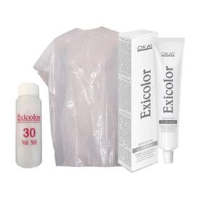 Exicolor Barut Gri Şampanya 60 ml Tüp Saç Boyası + 30 Volüm Peroksit + Boya Naylonu