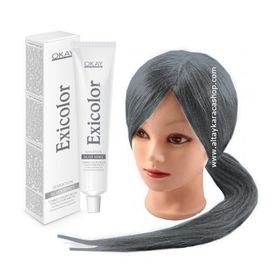Exicolor Slate Gray Barut Gri Saç Boyası