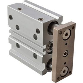 Expflex Mgpm 25x20 mm Çift Etkili Manyetik Yataklı Silindir