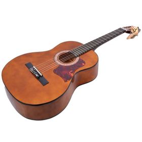 Extreme PG165DR Gitar Pena Korumalığı