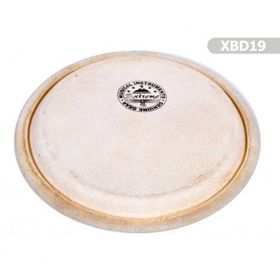 Extreme XBD19 Bongo Yedek Deri