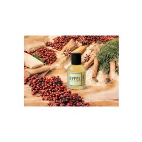 Eyfel M11 50 ml Erkek Parfüm