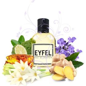 Eyfel M25 50 ml Erkek Parfüm