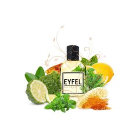 Eyfel M76 100 ml Erkek Parfüm