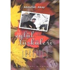 Eylül Türküleri / Abdullah Akay / Birey Yayınları
