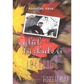 Eylül Türküleri / Abdullah Akay / Birey Yayınları