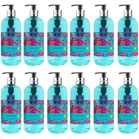 Eyüp Sabri Tuncer 12x500 ml Okyanus Doğal Zeytinyağlı Sıvı Sabun