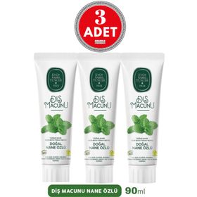 Eyüp Sabri Tuncer 3 Adet 90 ml Doğal Nane Özlü Macunu