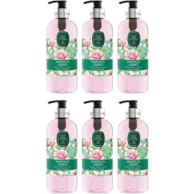 Eyüp Sabri Tuncer 6x500 ml Manolya Çiçeği Sıvı Sabun