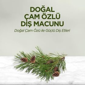 Eyüp Sabri Tuncer 90 gr Çam Özlü Doğal Diş Macunu