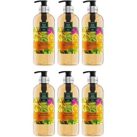 Eyüp Sabri Tuncer Bodrum Mandalinası 6x500 ml Sıvı Sabun