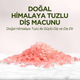 Eyüp Sabri Tuncer Himalaya Tuzlu 90 ml Bebek Diş Macunu