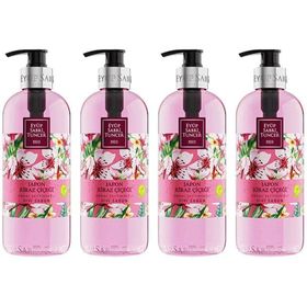 Eyüp Sabri Tuncer Japon Kiraz Çiçeği 4x500 ml Sıvı El Sabunu