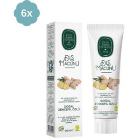 Eyüp Sabri Tuncer Zencefil Özlü 6x90 ml Diş Macunu