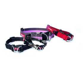 Ezydog Collar Double Up Mavi Köpek Boyun Tasması