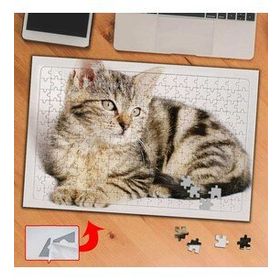 F4F9 Yatan Miskin Kedicik 240 Parça Puzzle Yapboz Tablo