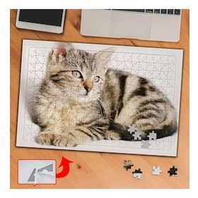 F4F9 Yatan Miskin Kedicik 240 Parça Puzzle Yapboz Tablo