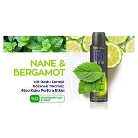 Fa 150 ML Men Mint & Bergamot Deodorant