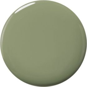 Faberlic Color Care Zarif Ada Çayı Oje