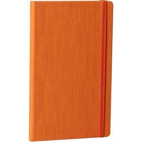 Fabio Ricci Lepidus 1046 Turuncu Çizgili Defter