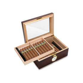 Falconetti RD46 Kahverengi Camlı 2 Katlı Humidor Puro Kutusu