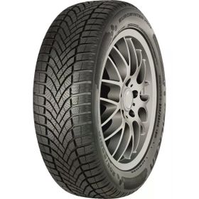 Falken 205/55 R16 91H Eurowinter HS02 Kış Lastiği
