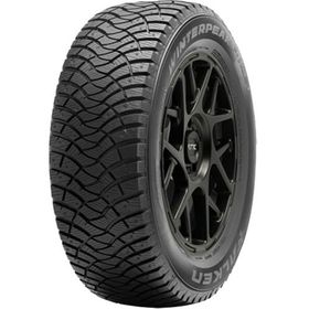 Falken 205/60 R16 96T XL Winter Peak F-ICE1 Kış Lastiği