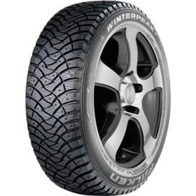 Falken 215/50 R17 95T XL Winter Peak F-ICE1 Kış Lastiği 2025