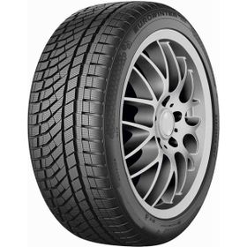 Falken 225/50 R17 98V XL Eurowinter HS02 Pro Kış Lastiği