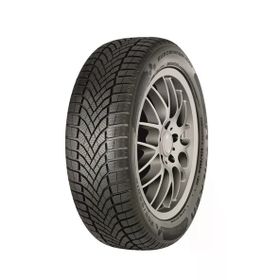 Falken 245/45 R18 100V XL Eurowinter HS02 Pro Kış Lastiği 2025