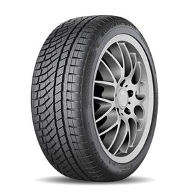 Falken 245/45 R18 100V XL Eurowinter Pro HS02 Kış Lastiği 2024