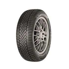 Falken 255/35 R20 97W XL Eurowinter HS02 Pro Kış Lastiği