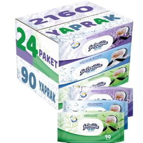 Familia Lavanta-Mineral-Yeşilin Tazeliği 90 Yaprak Karma 24'lü Set 2160 Yaprak Islak Havlu Mendil