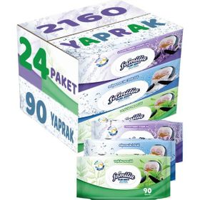 Familia Lavanta-Mineral-Yeşilin Tazeliği 90 Yaprak Karma 24'lü Set 2160 Yaprak Islak Havlu Mendil
