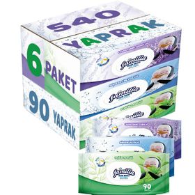 Familia Lavanta-Mineral-Yeşilin Tazeliği 90 Yaprak Karma 6'lı Set 540 Yaprak Islak Havlu Mendil