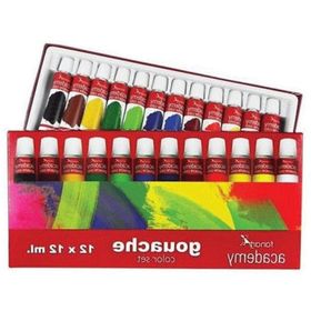 Fanart Academy 12x12 ml Guaj Boya Seti