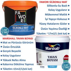 Fawori Master Mat 2.5 lt Limoni Silikonlu İç Cephe Boyası