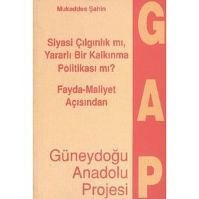 Fayda - Maliyet Açısından Güneydoğu Anadolu Projesi - Mukaddes Şahin
