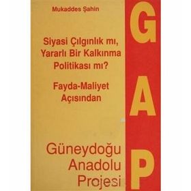 Fayda - Maliyet Açısından Güneydoğu Anadolu Projesi - Mukaddes Şahin