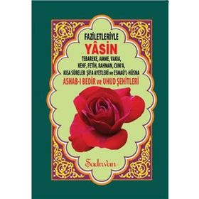 FAZILETLERIYLE YASIN-I ŞERIF (RAHLE BOY) - KOLEKTIF