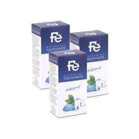 Fe Herbal Natural 90 ml l Diş Pastası