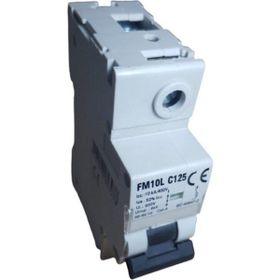 Federal 125A C/10KA Otomatik Sigorta