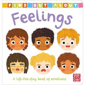 Feelings A Lift-The-Flap Book of Emotions