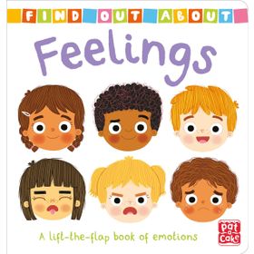 Feelings A Lift-The-Flap Book of Emotions