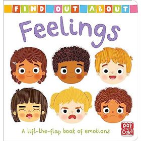 Feelings A Lift-The-Flap Book of Emotions