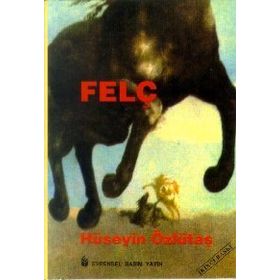 Felç - Turgay Yılmaz